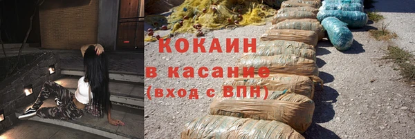 сатива Белоозёрский