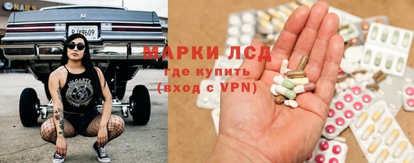 ГАЛЛЮЦИНОГЕННЫЕ ГРИБЫ Беломорск