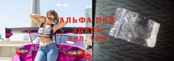 сатива Белоозёрский